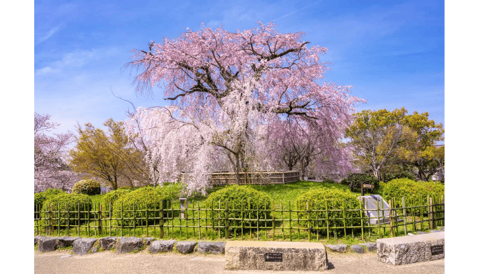 Maruyama Park