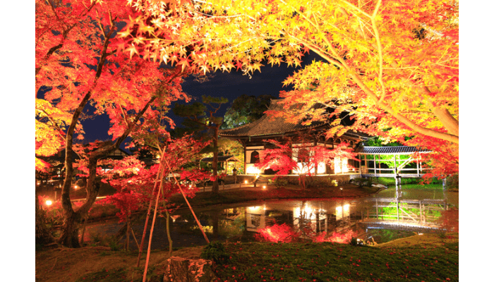 Kodai-ji Temple