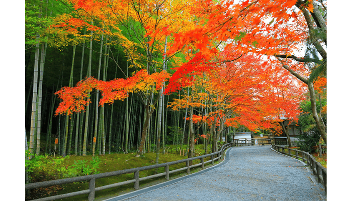 Tenryu-ji Temple