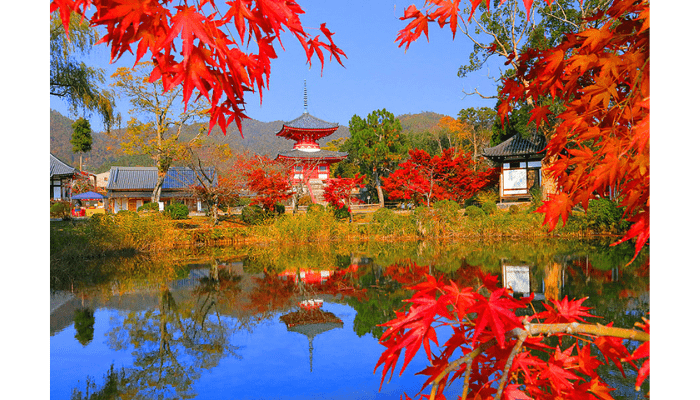 Daikaku-ji Temple