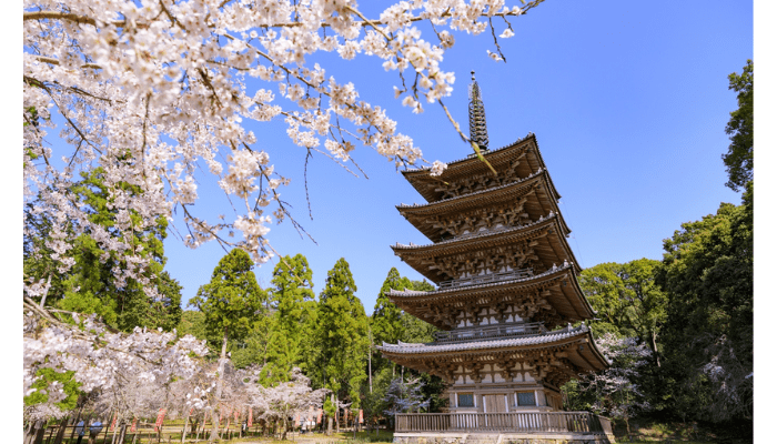 daigo-ji temple