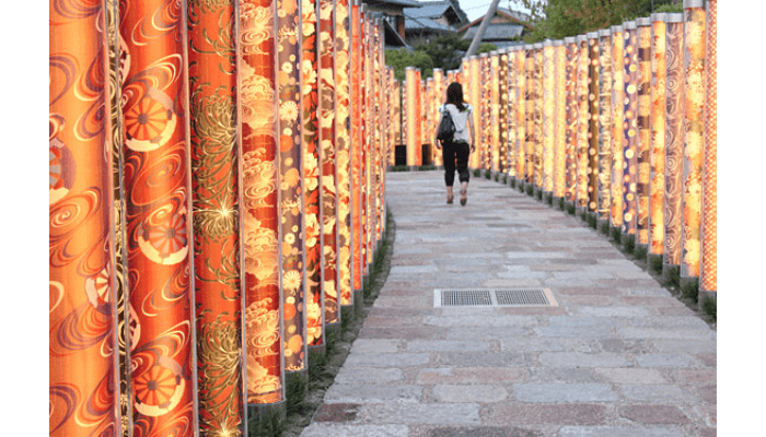 The Kimono Forest