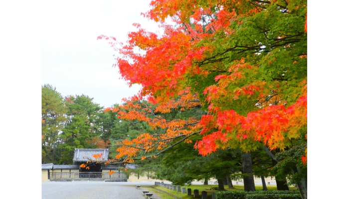 Kyoto Gyoen National Garden