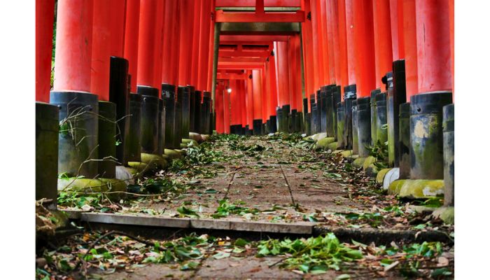 Senbon Torii in Fushimi Inari taisha Shrine