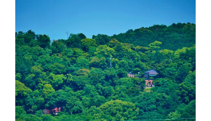 Mountain hike of the Inariyama Area in Fushimi Inari