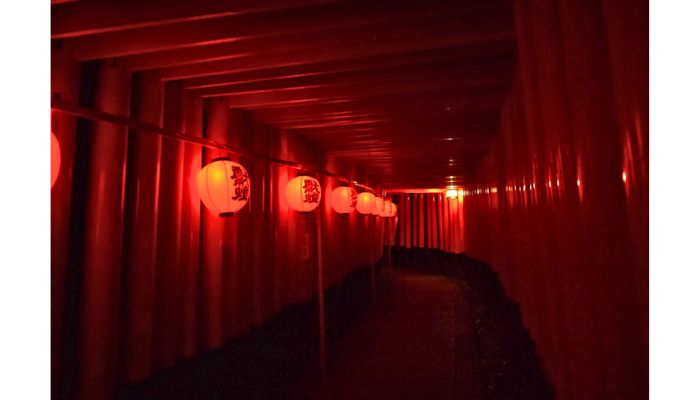 Night view of torii gates at Fushimi Inari Taisha.