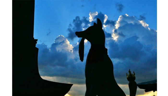 Fox statue at Fushimi Inari Taisha.