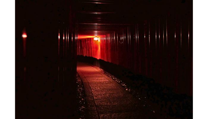 Night view of torii gates at Fushimi Inari Taisha.