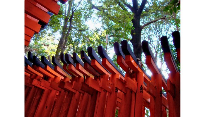 Many Torii Gates at Fushimi Inari Taisha.