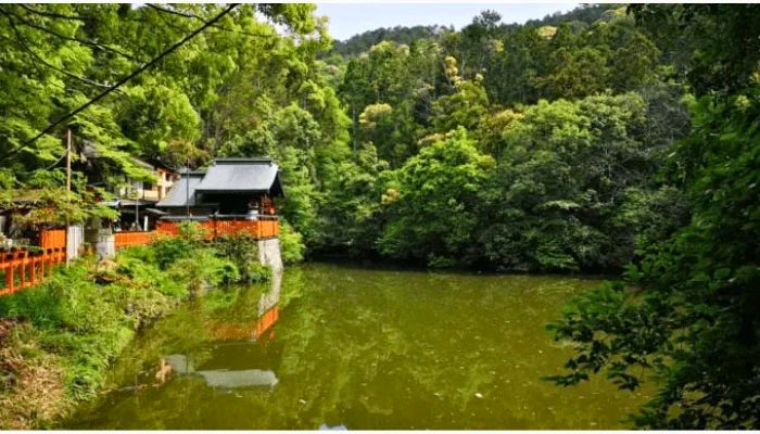 Shinike Pond in Fushimi Inari Taisha.