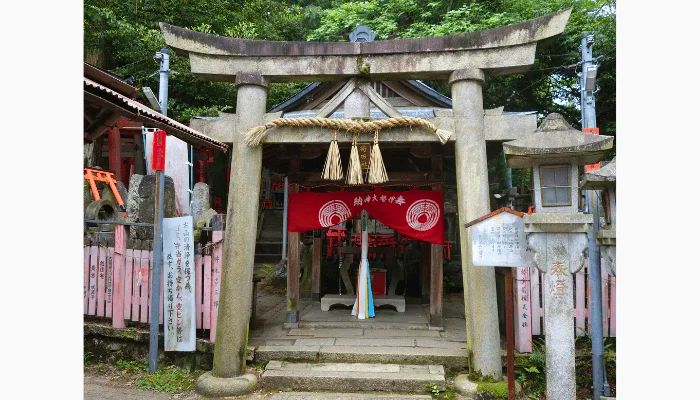 Nune Torii in Fushimi Inari Taisha.
