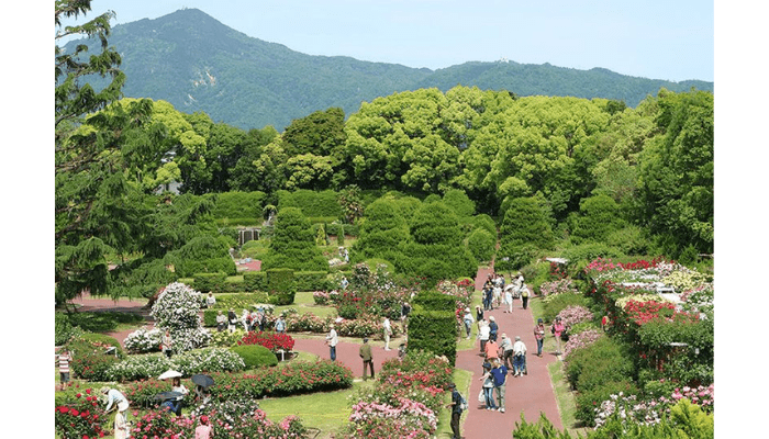 Kyoto Botanical Gardens